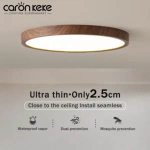 Modern LED Ceiling Light